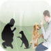 Dog Obedience - Train Your Dog To Stop Behavior Problems